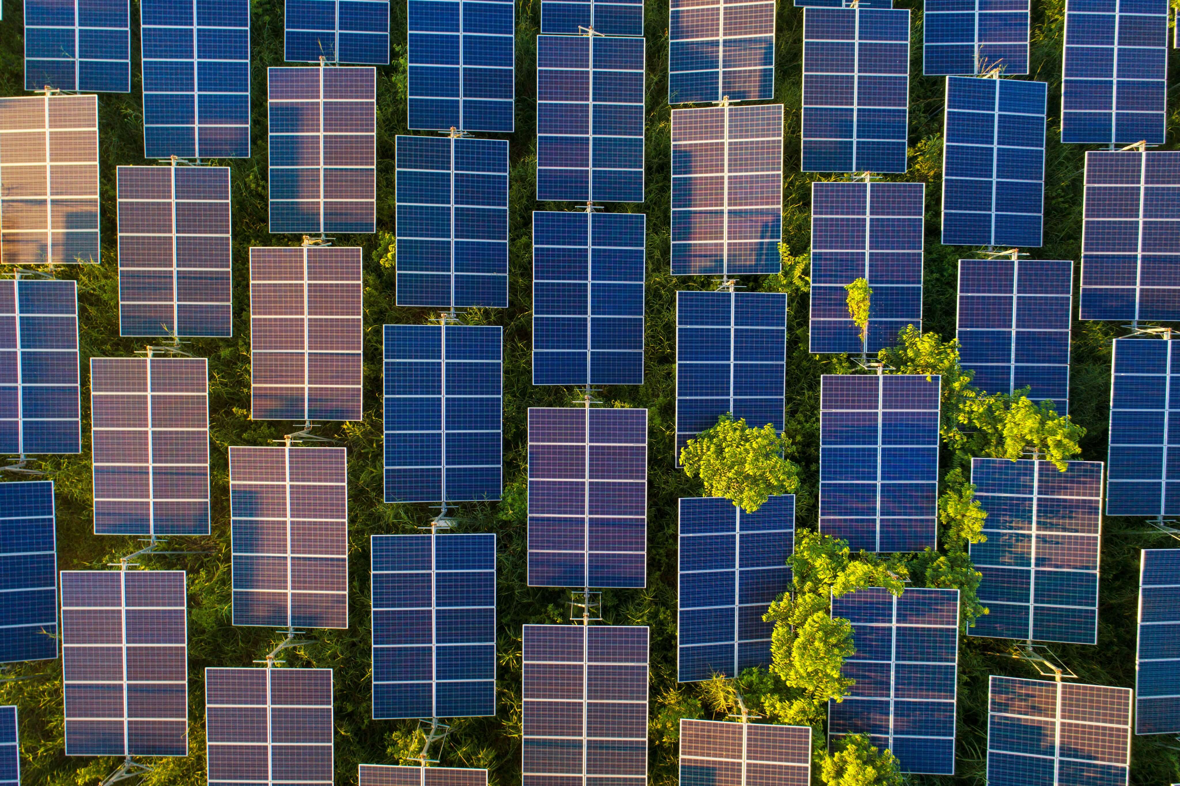 WIND AND SOLAR OUTPUT BEAT BROWN COAL IN AUSTRALIA FOR FIRST TIME IN SEPTEMBER QUARTER